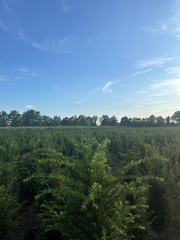 Maatschap Opbroek Lottum